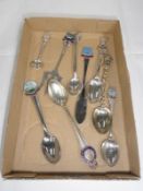 A quantity of collectors spoons.