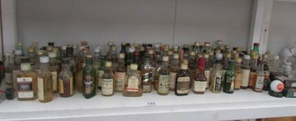 A shelf of assorted miniature wines and spirits.