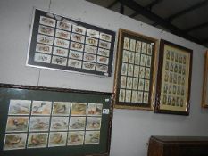 4 framed of cigarette cards including reproduction.