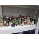 A shelf of assorted miniature wines and spirits.