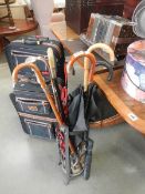 5 walking sticks and 4 umbrella's in stand.