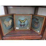 3 framed and glazed exotic butterfly collages.