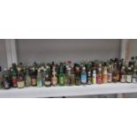 A shelf of miniature wines and spirits.
