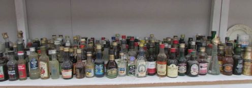 A shelf of miniature wines and spirits.