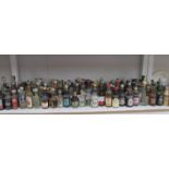 A shelf of miniature wines and spirits.