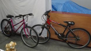 One girls' 17 inch Apollo pulse mountain bike and one boys' 16 inch Probike diablo mountain bike.
