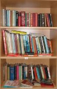 3 shelves of miscellaneous books.