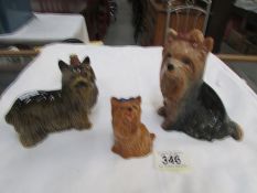 A Beswick Yorkshire terrier and 2 others.
