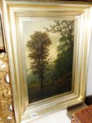 An oil on canvas woodland scene signed by Sydney Wales White