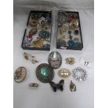 A tray of good vintage costume brooches, 37, items in total.