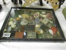 A case of assorted minerals etc.