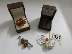 Four amber brooches.