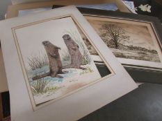 A collection of approximately 25 artist signed limited edition prints.