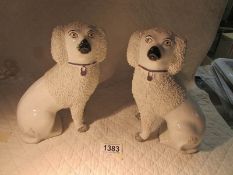 A pair of 19th century Staffordshire spaniels, in good condition.