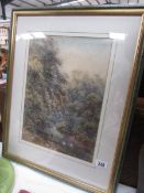 A framed and glazed watercolour woodland scene.