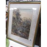 A framed and glazed watercolour woodland scene.