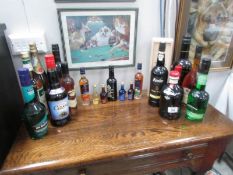 13 bottles of assorted alcohol and 7 miniature bottles.