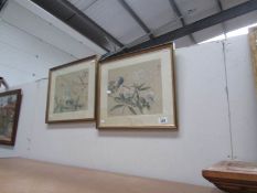 2 framed and glazed oriental paintings on silk of birds and flowers, signed.