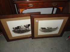 A pair of framed and glazed prints,