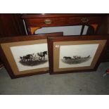 A pair of framed and glazed prints,