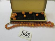 An amber necklace with some loose beads.