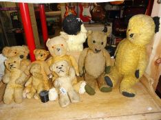 8 vintage Teddy bears.