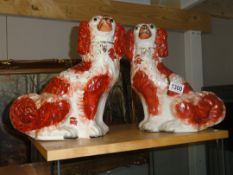 A large pair of Staffordshire pottery spaniels.