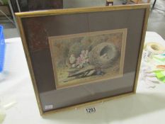 A fine framed and glazed watercolour 'Apple Blossom,