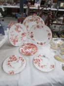 4 Royal Crown Derby plates and 2 others.