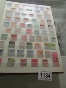3 albums of stamps including many GB & Commonwealth Victorian stamps.