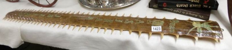 Taxidermy - a hand decorated saw fish saw.