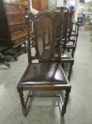 A set of 6 oak chairs comprising of 2 carvers and 4 diners with cane panels in back.