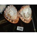 2 carved cameo shell lamp shades.