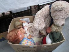 A box of old dolls and Teddies.