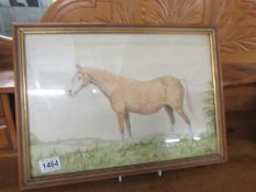 A framed and glazed water colour of a horse signed John Hawes, 1969.