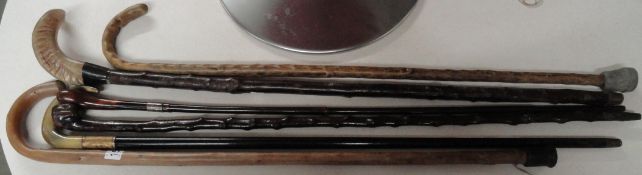 6 walking sticks including one with silver collar.
