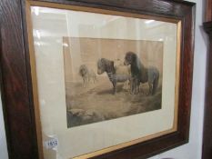 An oak framed and glazed lithoprint of Dartmoor ponies after L.