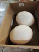 2 ostrich eggs.