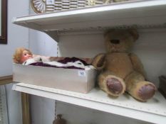 A vintage Teddy bear and a vintage doll in coronation robe with a Pedigree doll box.