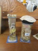 A preserved snake and a preserved octopus in glass jars,.