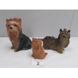 3 Yorkshire Terrier figurers, one marked Beswick 2102.