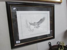 A framed and glazed pencil drawing of an owl in flight.