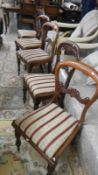 5 mahogany framed dining chairs in good condition.