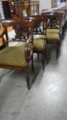 A set of 8 fine Georgian figured mahogany chairs (possibly Flemish)