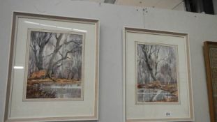 A pair of framed and glazed watercolour woodland scenes.