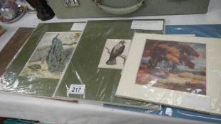 A quantity of unframed prints including Victorian hand coloured examples.