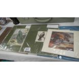 A quantity of unframed prints including Victorian hand coloured examples.