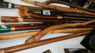 A mixed lot of assorted walking sticks including knob handle.