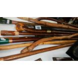 A mixed lot of assorted walking sticks including knob handle.