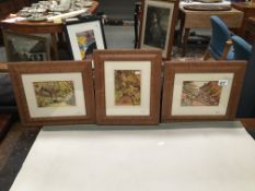 A set of 3 framed and glazed late Victorian watercolours of garden scenes signed and dated R.